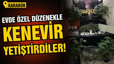  Evde özel düzenekle kenevir yetiştirdiler!