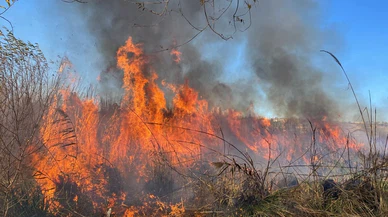 Sazlık alanı yaktı, 244 bin lira ceza kesildi!