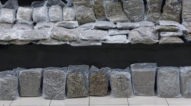 Şanlıurfa'da 17 kilo 600 gram skunk ele geçirildi!