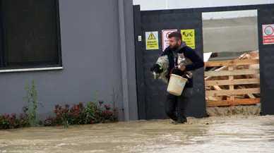 Sel nedeniyle mahsur kalan evcil hayvanlar kurtarıldı