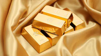 Mayısta en fazla aylık reel getiri külçe altında!