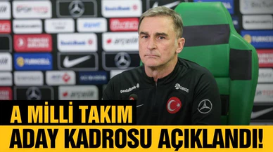 A Milli Takım'ın aday kadrosu açıklandı!