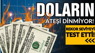 Dövizin ateşi dinmiyor! Rekor seviyeyi gördü!