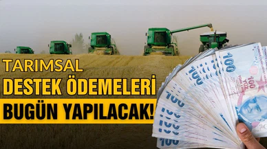 Tarım destek ödemeleri bugün yapılacak!