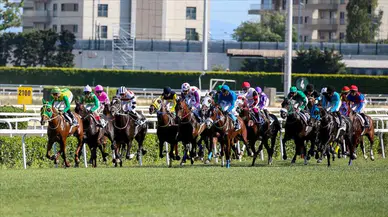 97. Gazi Koşusu'na kayıt yaptıran safkanlar belli oldu!