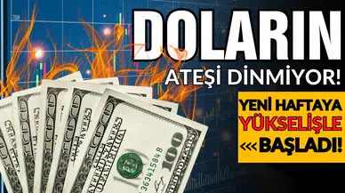 Dolar yeni haftaya yükselişle başladı!
