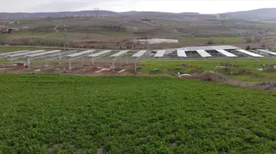 Tarım GES uygulaması Ankara'da başlıyor!