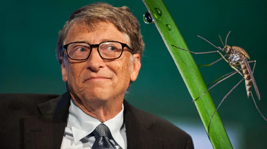 Bill Gates'in kurduğu sivrisinek fabrikası neyi amaçlıyor?