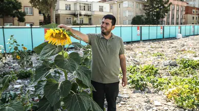 Depremde yıkılan kuruyemişçinin enkazında ayçiçeği açtı!