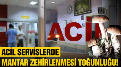 Acil servislerde mantar zehirlenmesi yoğunluğu!