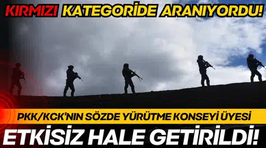 MİT'ten nokta operasyon!