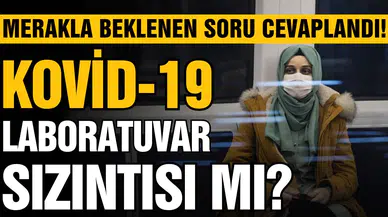 Kovid-19 laboratuvar sızıntısı mı? Cevabı bulundu!