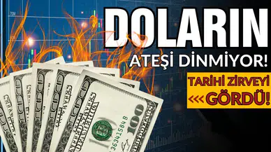 Dolarda tarihi zirve!
