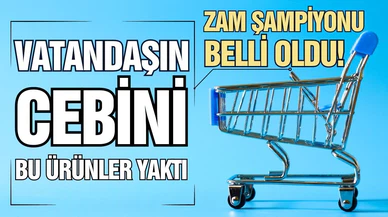Aralık ayı zam şampiyonu belli oldu!