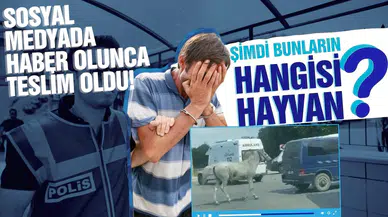 Minibüsün arkasına bağladığı atı koşturdu!