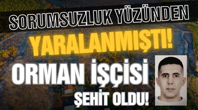 İzmir'de orman yangını: 1 kişi şehit oldu!