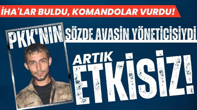 PKK'nın sözde Avaşin yöneticisi etkisiz hale getirildi!