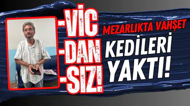 Mezarlıkta vahşet: Kedileri yaktı!