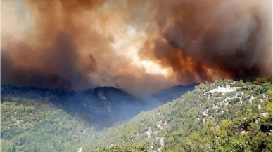 Dünyada son 10 yılda  82 milyon hektar ormanlık alan yandı