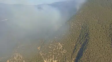 Bolu'da yıldırım düşmesi sonucu orman yangını başladı!