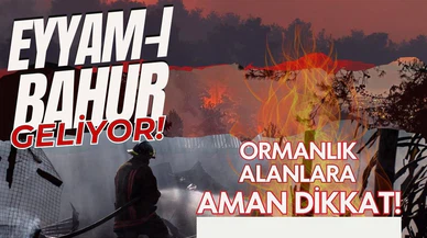 Ormanlık alanlara dikkat! Eyyam-ı bahur geliyor!