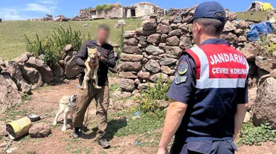 Bu da oldu: Kars'ta kurt yavrusu satmaya çalıştılar!