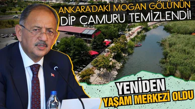 Özhaseki: Mogan Gölü yeniden yaşam merkezi oldu