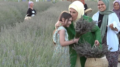Emine Erdoğan, lavanta hasadına katıldı!