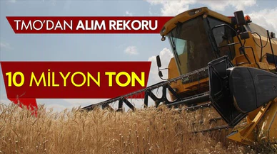 TMO tarafından alınan ürün miktarı 10 milyon tonu geçti!