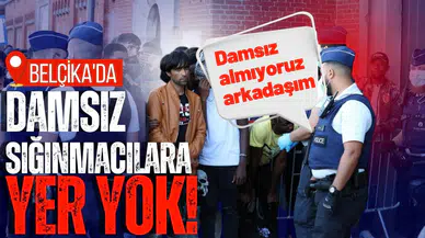 Belçika'da damsız sığınmacılara yer yok!