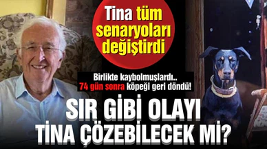 Kayıp profesör düğümünü Tina çözecek