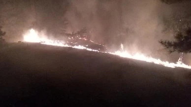 Muğla Köyceğiz'de orman yangını!