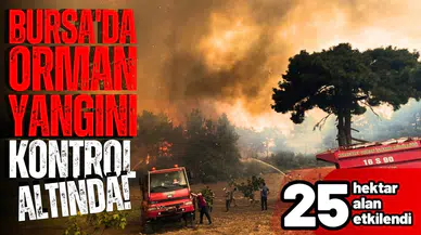 Bursa'daki orman yangını kontrol altında!