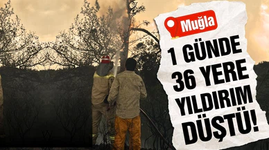 Muğla'da 1 günde düşen yıldırımlar nedeniyle 36 yangın çıktı