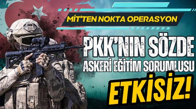 MİT'ten nokta operasyon!