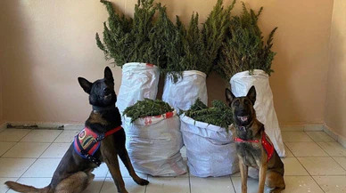 Erzurum'da uyuşturucu operasyonu!