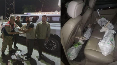 Çuvalda 4 yaralı ceylan yavrusu ele geçirildi!