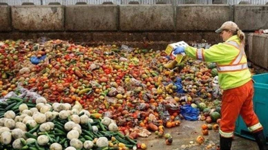 Avrupa'da adam başı 131 kilo gıda israf etti!