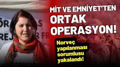 Terör örgütünün Norveç yapılanması sorumlusu yakalandı!