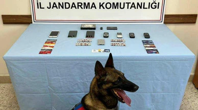 Eskort siteleri üzerinden, milyonluk vurgun!