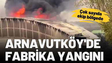 Arnavutköy'de fabrika yangını