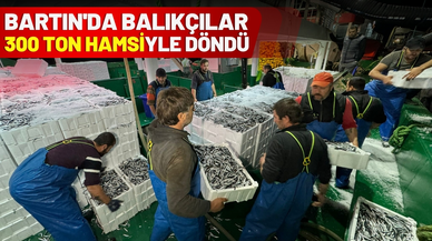 Bartın'da balıkçılar, 300 ton hamsiyle döndü