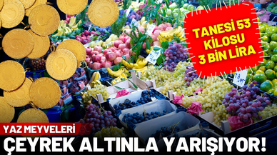 Yaz meyvelerinin fiyatı çeyrek altın ile yarışıyor