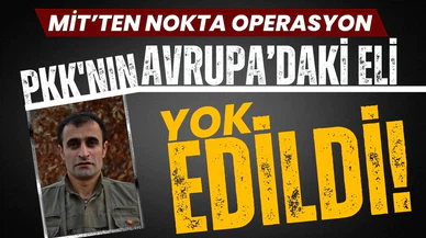 MİT göz açtırmıyor: Faik Aydın yok edildi!