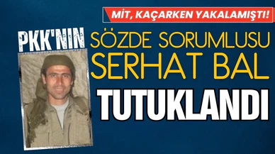 MİT, kaçamadan yakalamıştı: Serhat Bal tutuklandı