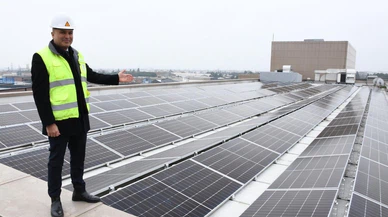 Balıkesir Büyükşehir Belediyesi'nin "yeşil yatırımı" binlerce ağacı kurtarıyor!