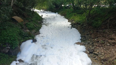 Brezilya’da litrelerce sülfonik asit dereye döküldü