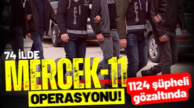74 ilde Mercek-11 operasyonu: 1124 şüpheli gözaltında