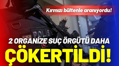 2 organize suç örgütü çökertildi!
