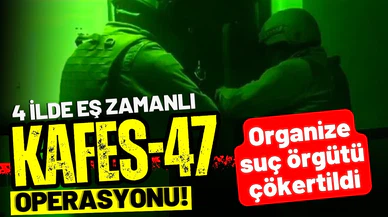 Kafes-47 operasyonu: Organize suç örgütü çökertildi!